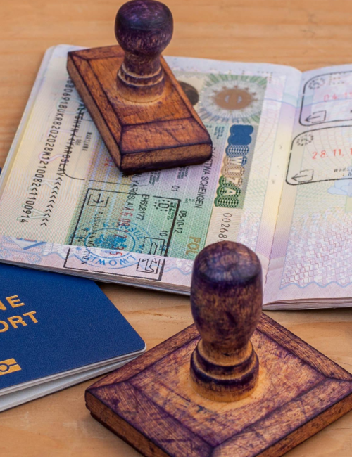 Untitled design - 2025-01-14T134450.702